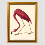 Gold Wood 11 x 17 Frame